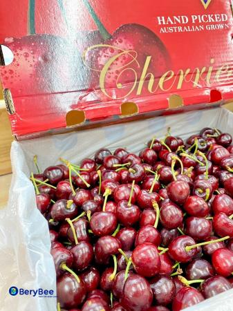 CHERRY ÚC