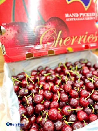 CHERRY ÚC